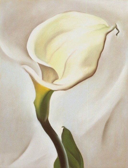 Georgia O'Keeffe Calla Lily Turned Away 1923
